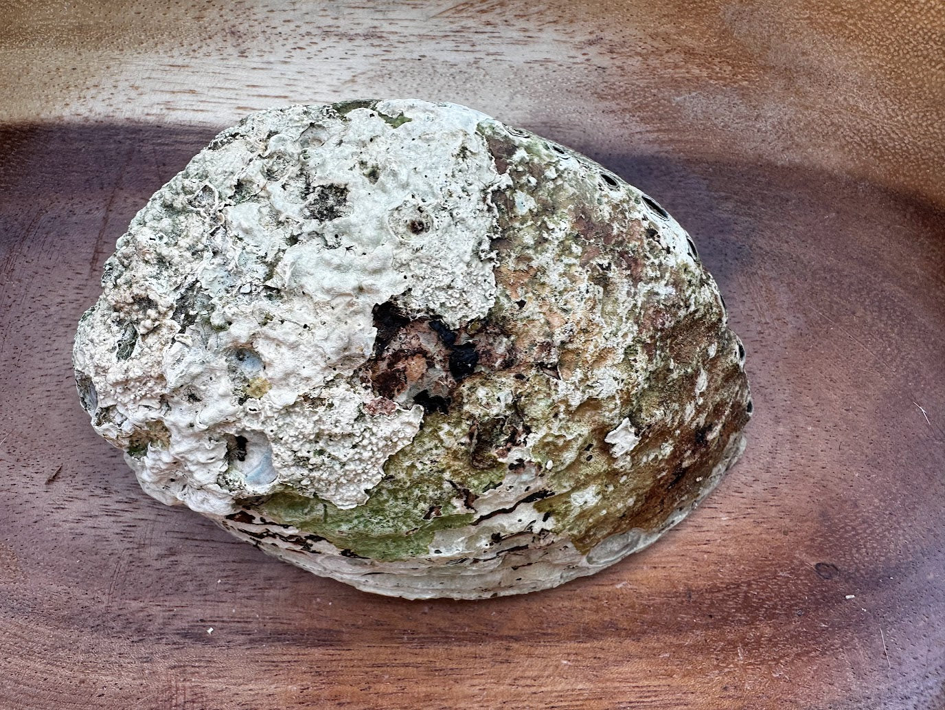 Abalone Shell Smudging Kit