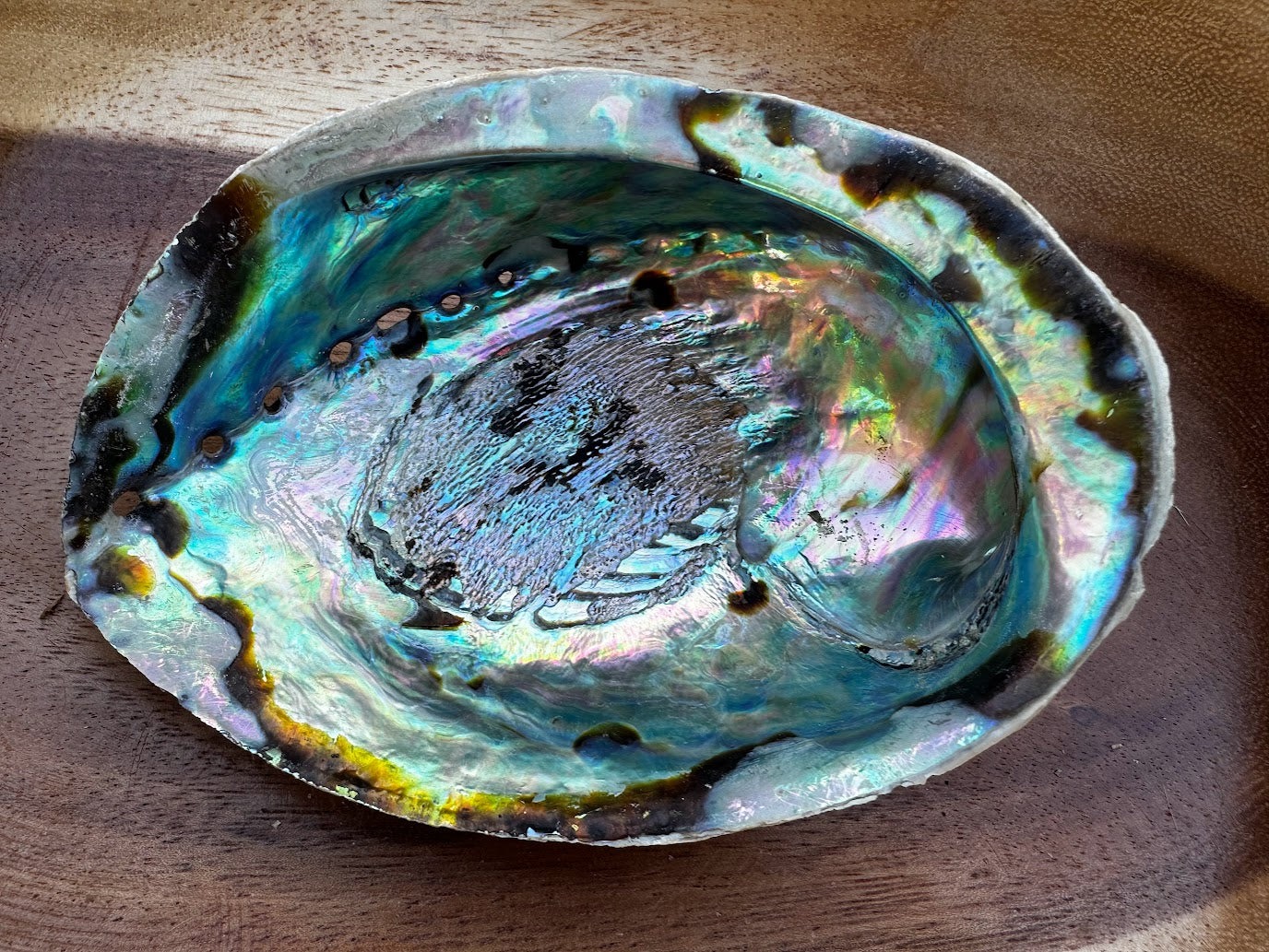 Abalone Shell Smudging Kit