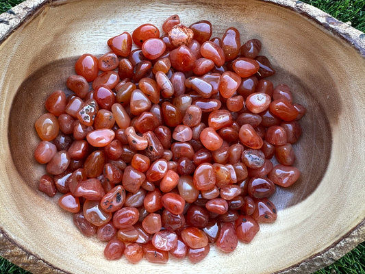 Carnelian - Tumbled Grade A - (1/4 pound)