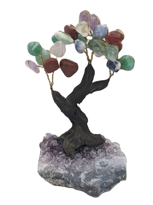 Bonsai gem tree