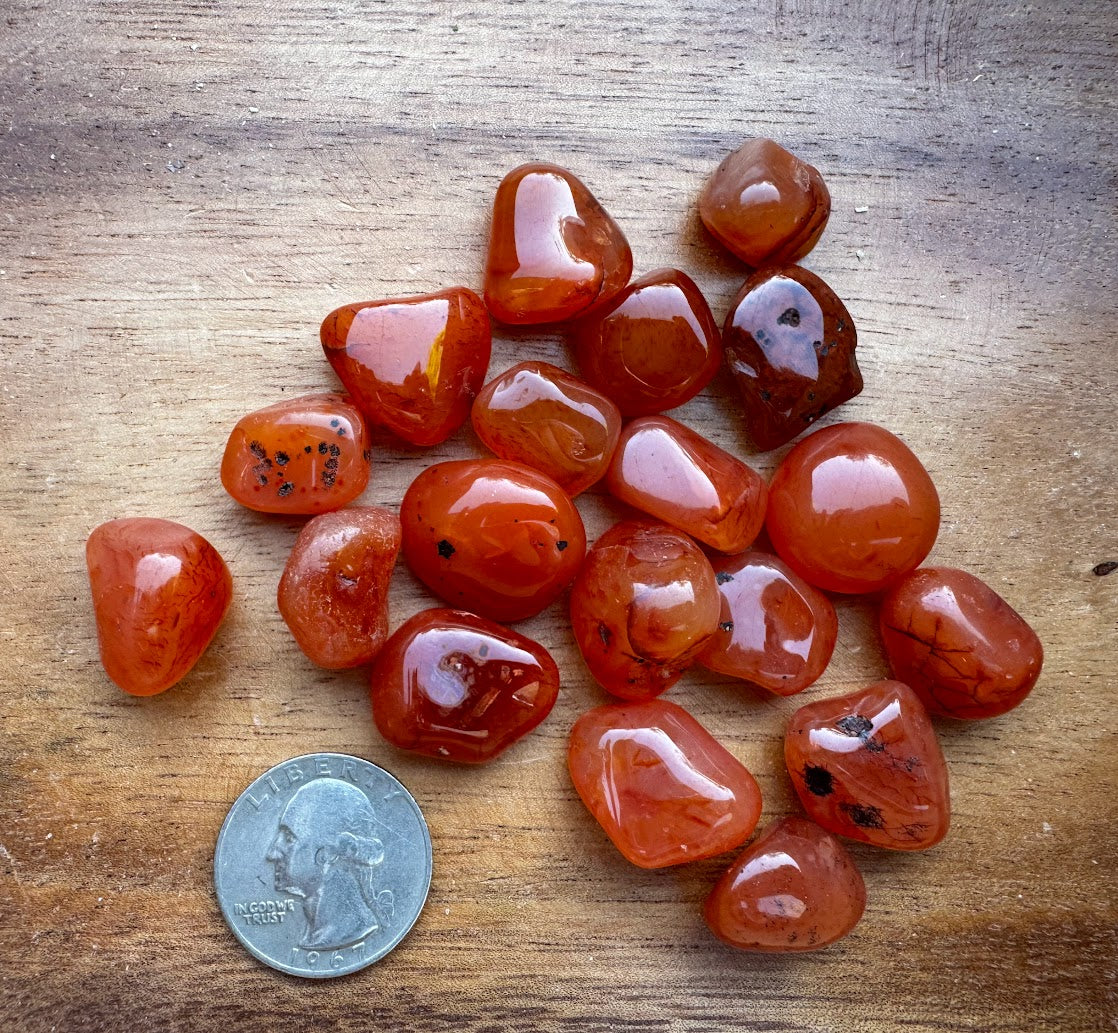 Carnelian - Tumbled Grade A - (1/4 pound)