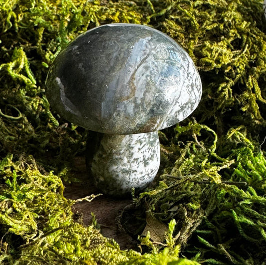 moss agate mushroom