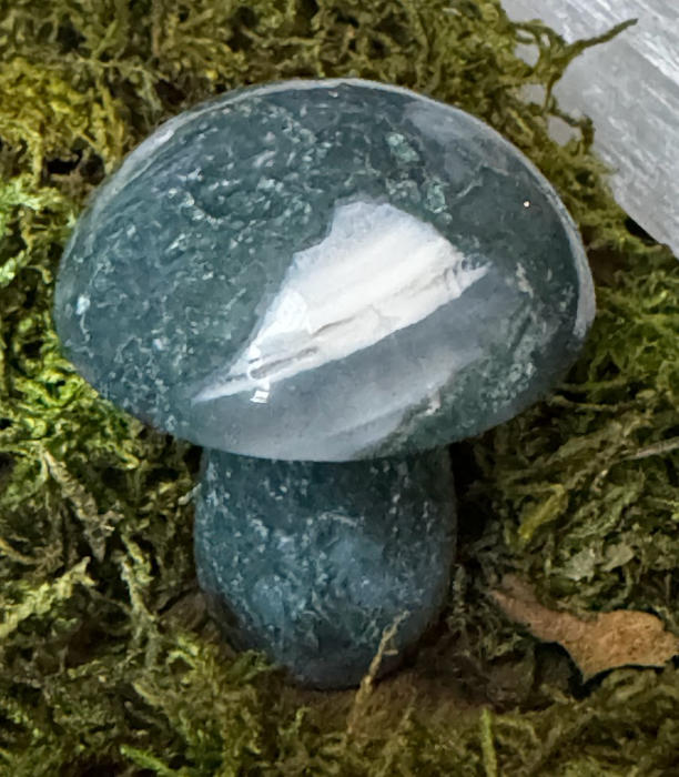 agate stone mushroom