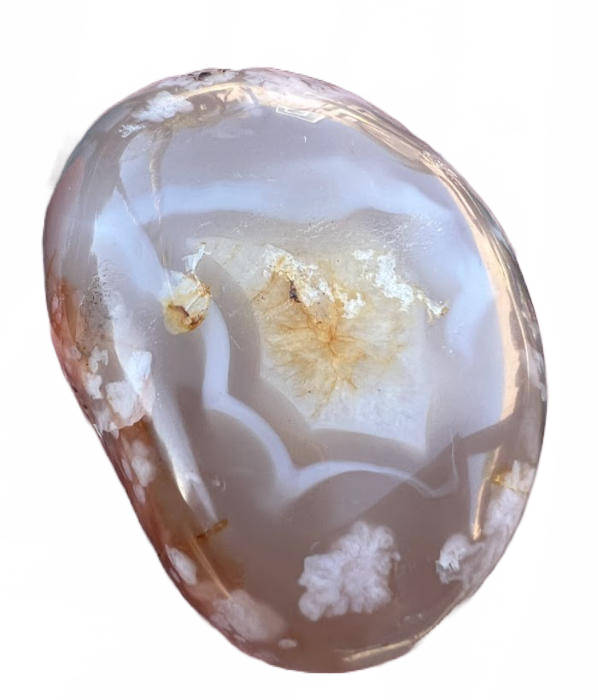 flower agate palm stone