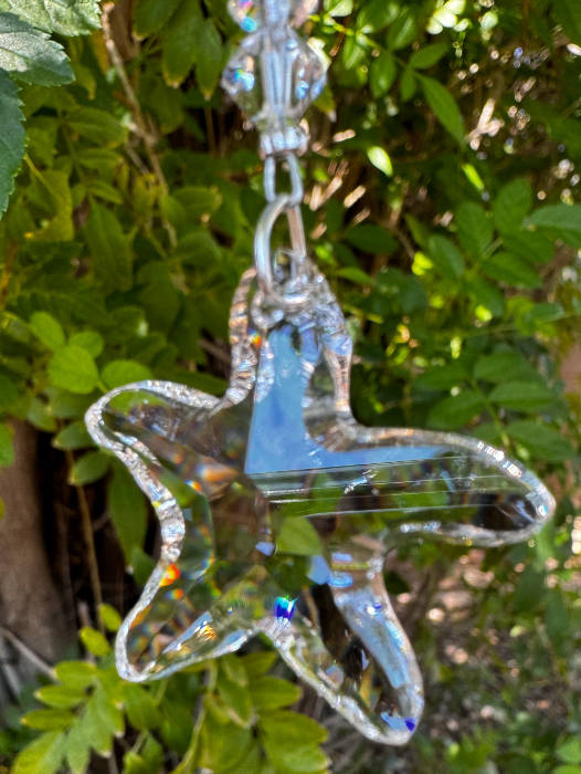 close up of starfish crystal suncatcher