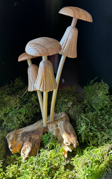 Three Carved Mushrooms on Driftwood